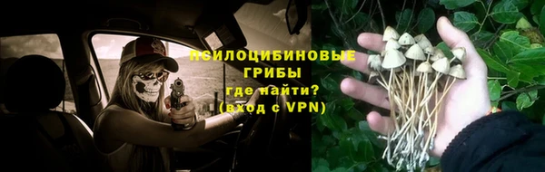 эйфоретик Алзамай