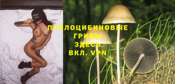 эйфоретик Алзамай