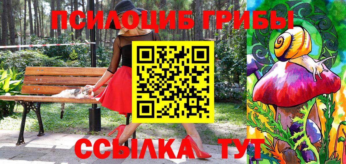 Галлюциногенные грибы прущие грибы Глазов