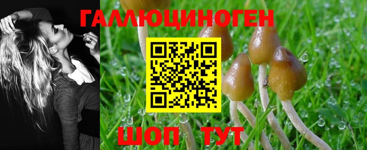 Псилоцибиновые грибы мицелий  Глазов 