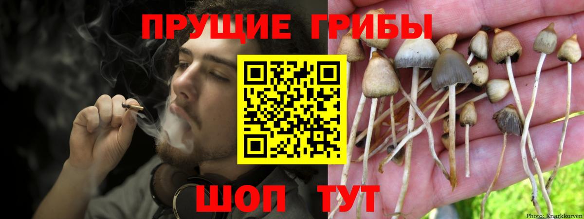 Галлюциногенные грибы Cubensis  Вход с VPN  Псилоцибиновые грибы Psilocybine cubensis  Глазов 
